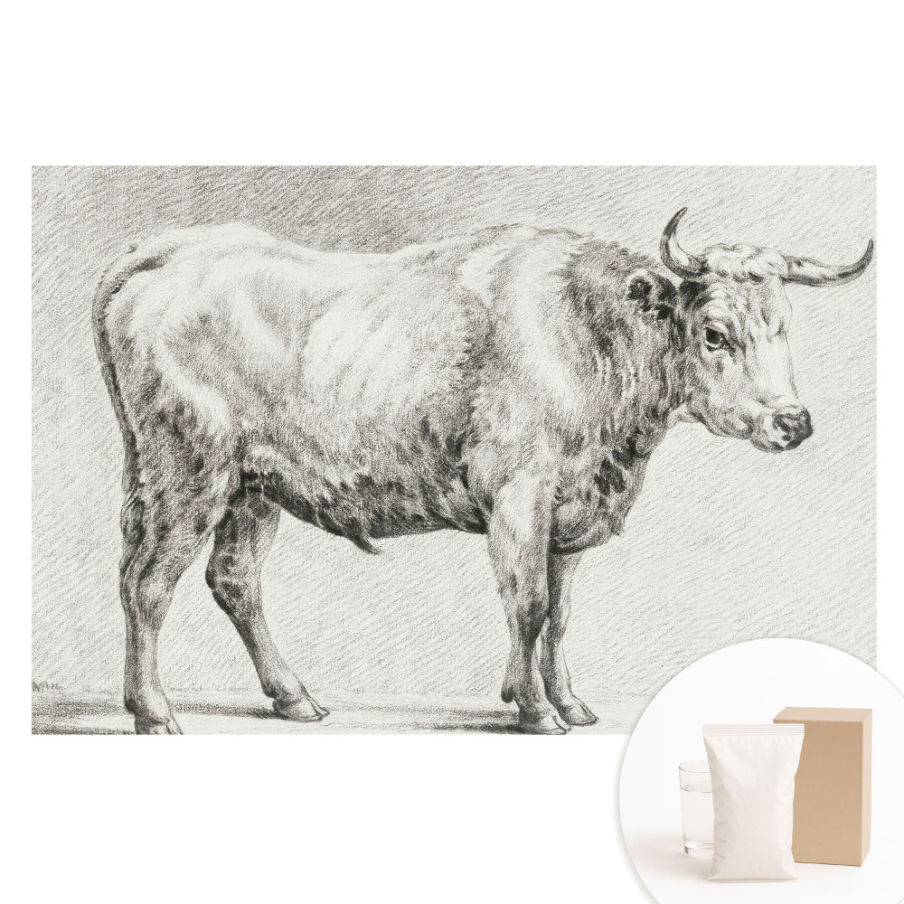 Tapet fotografic nețesut Grafică clasică cu animale
