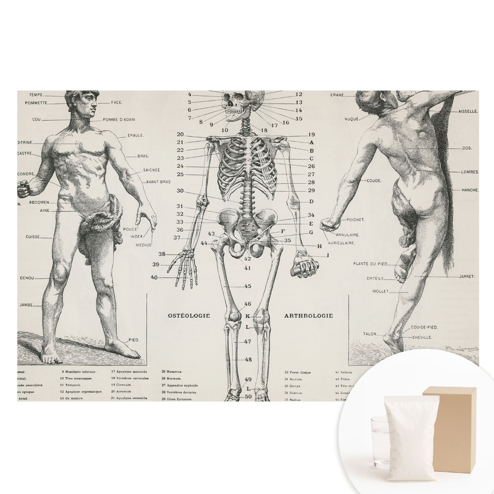 Tapet nețesut cu ilustrații anatomice în stil retro