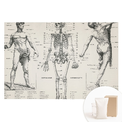 Tapet nețesut cu ilustrații anatomice în stil retro