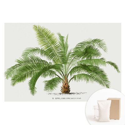 Fototapet mare cu ilustrație de palmier tropical perete