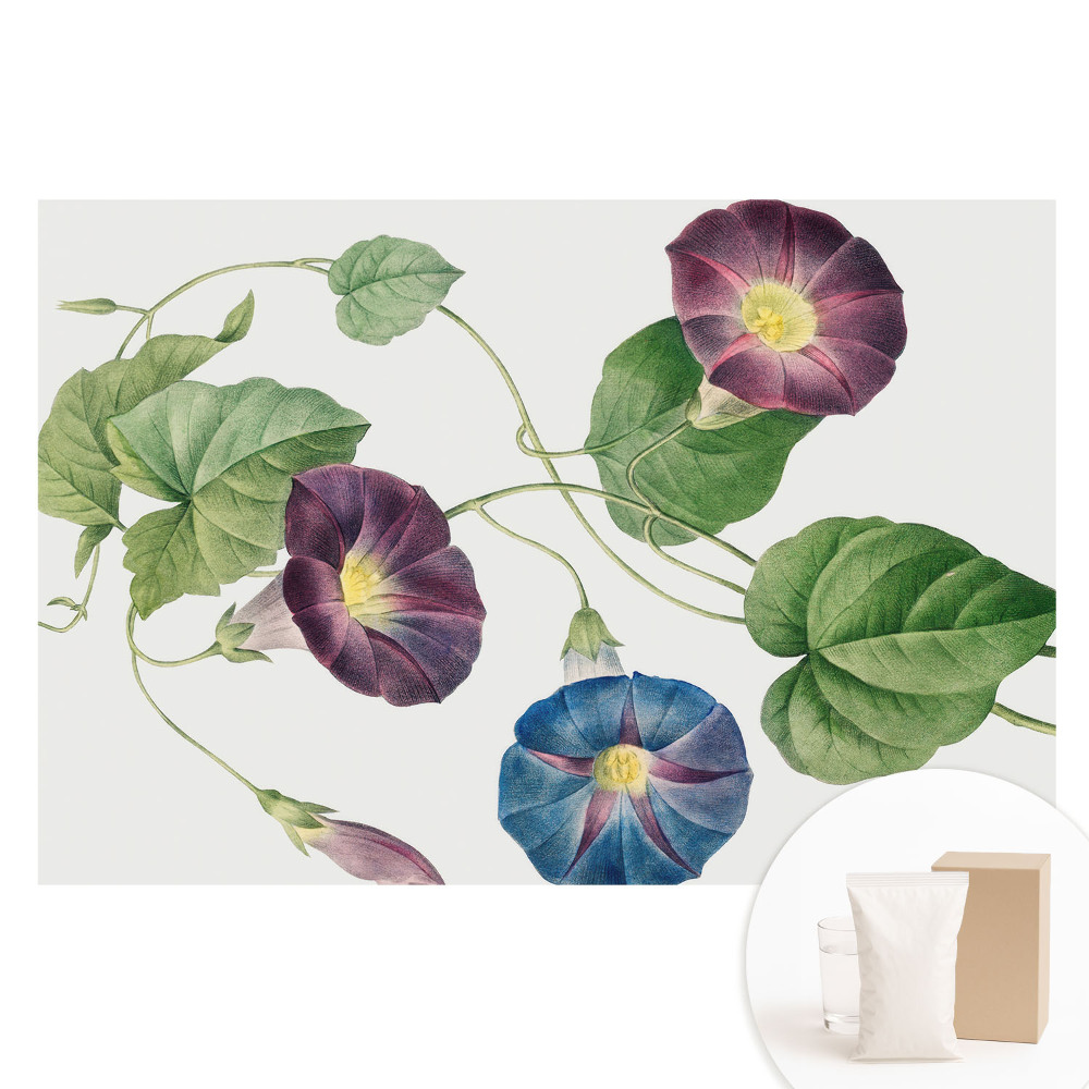 Tapet nețesut Motive botanice florale delicate