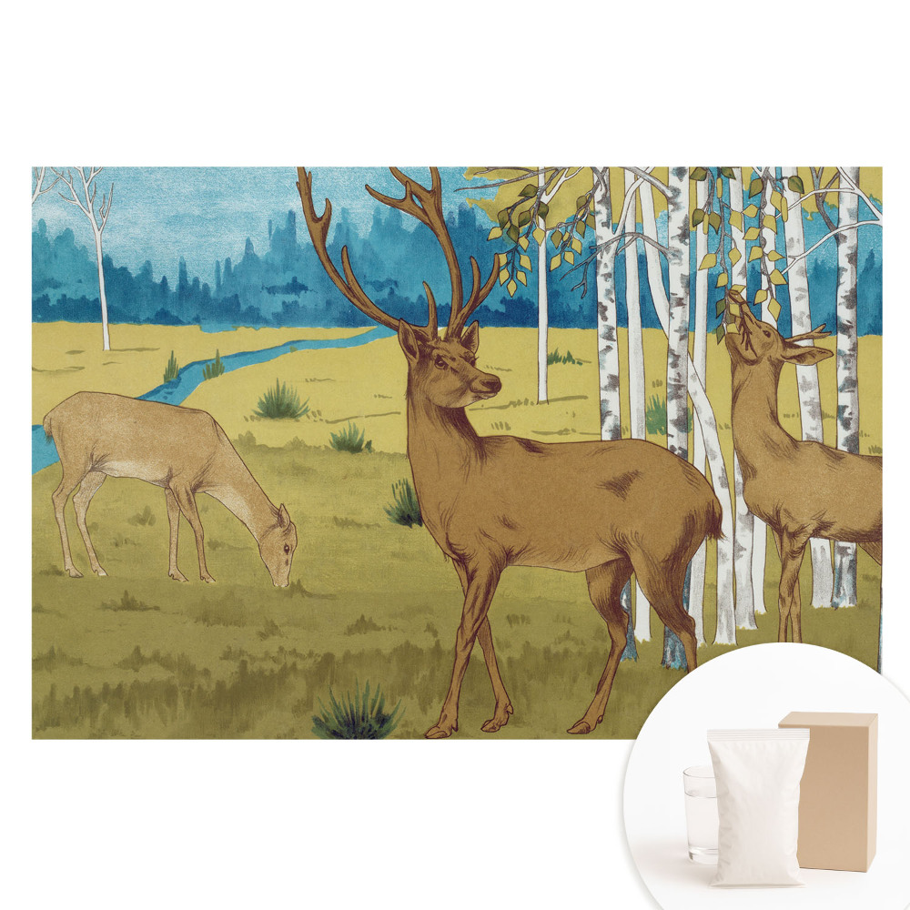 Fototapet cu imprimeu pe material nețesut Cerb în pădurea de mesteacăn