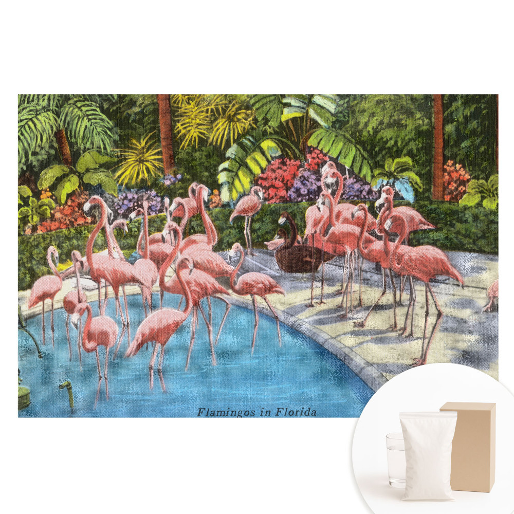 Fototapet cu imprimeu pe material nețesut Flamingo lângă piscină