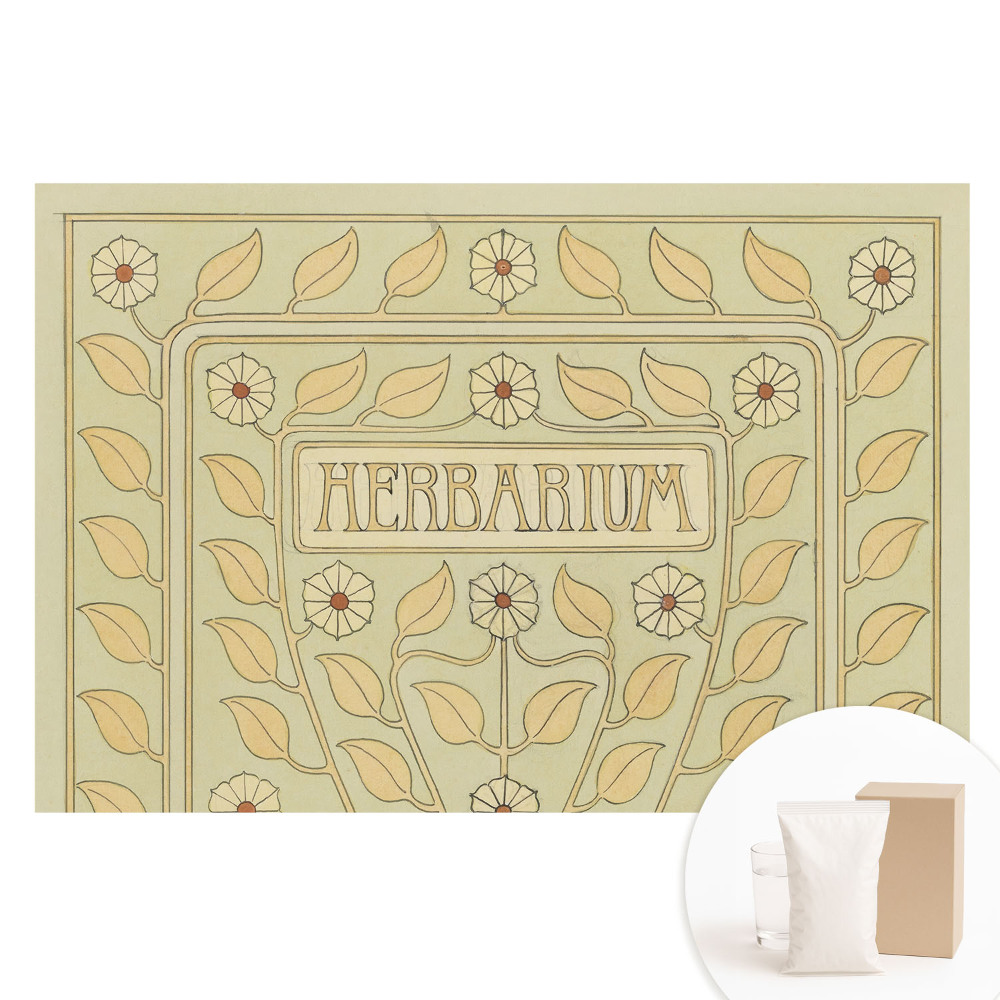 Tapet foto de mari dimensiuni cu motive vegetale Art Nouveau și inscripția Herbarium
