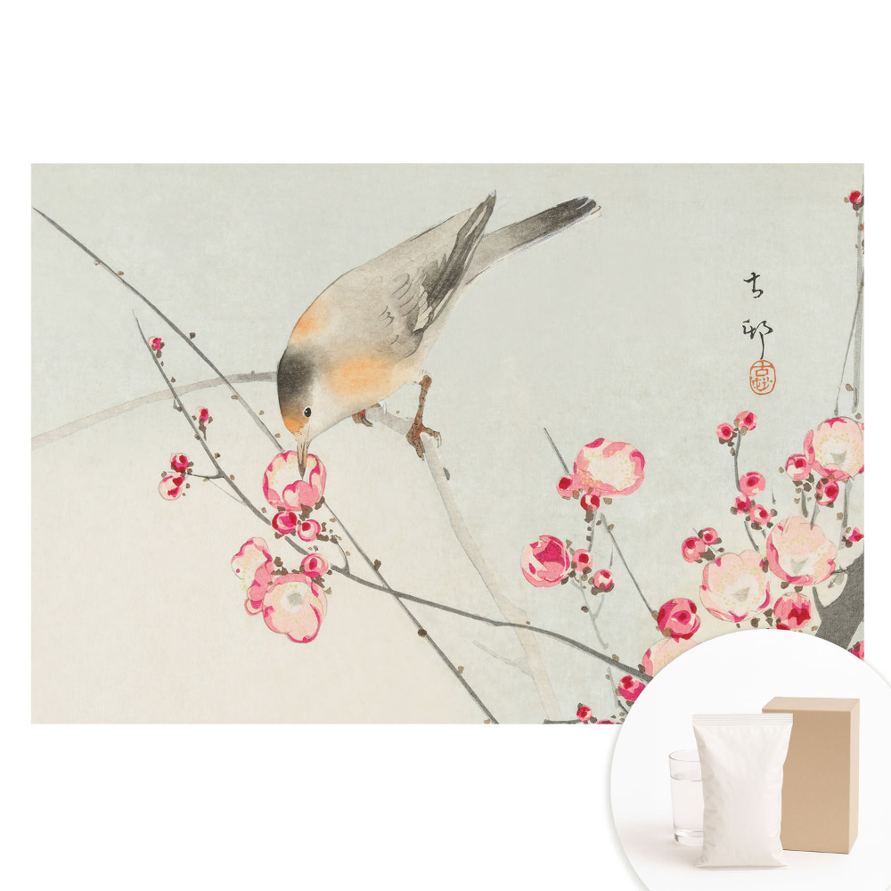 Tapet fotografic nețesut Pasăre și flori japoneze