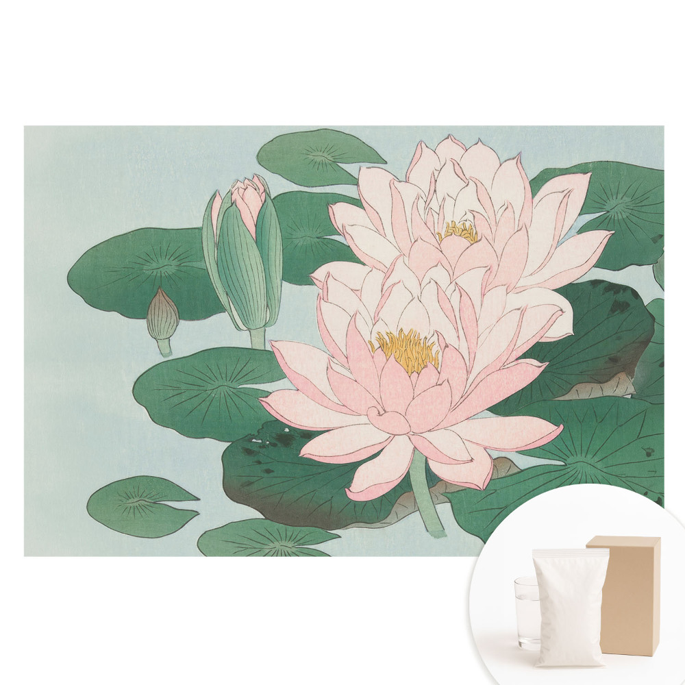 Fototapet cu imprimeu pe material nețesut Flori de lotus pe frunze verzi