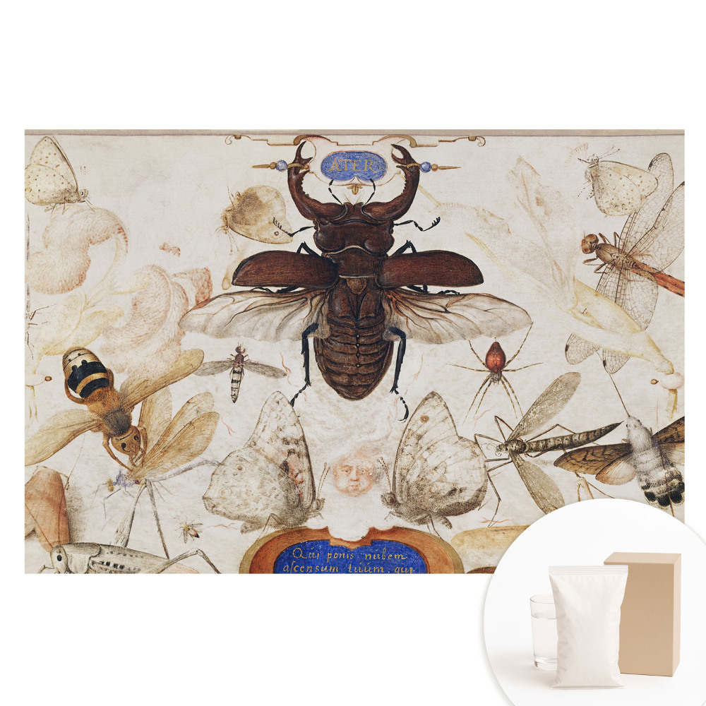 Tapet fotografic din material nețesut cu design de insecte, fluturi și păianjeni în stil simetrie clasică