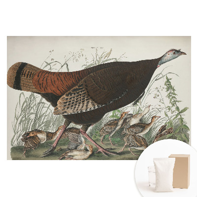 Fototapet cu imprimeu pe material nețesut Ilustrație naturală de curcan sălbatic