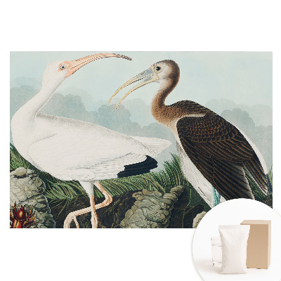 Tapet nețesut cu imprimeu Două păsări în mediul lor natural