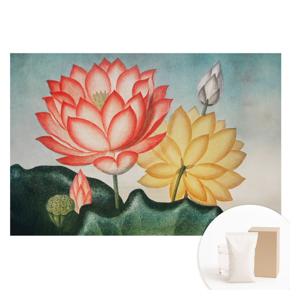 Tapet nețesut Flori de lotus într-un stil romantic