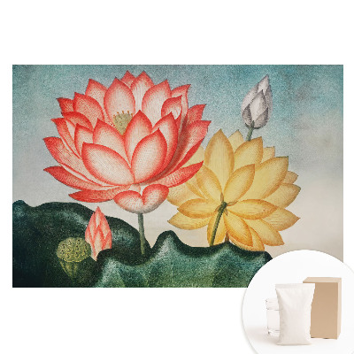 Tapet nețesut Flori de lotus într-un stil romantic