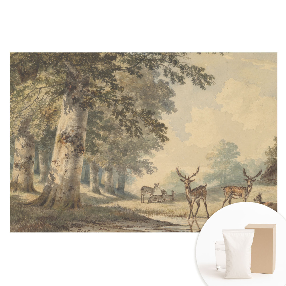 Fototapet cu imprimeu pe material nețesut Cerb de pădure lângă pârâu