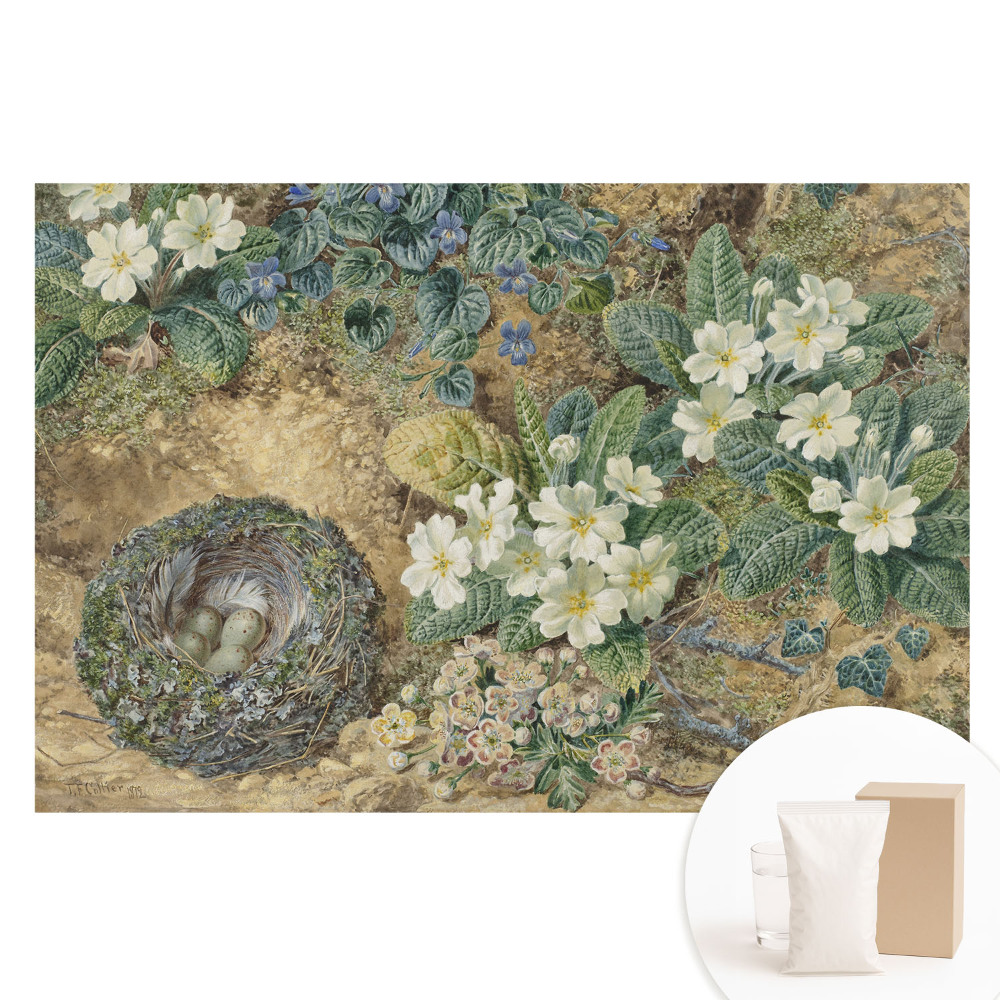 Tapet foto mare pentru perete Flori de primula cu un cuib de pasăre