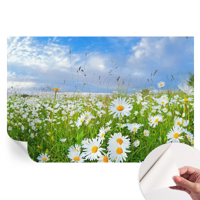 Fototapet autoadeziv pentru dormitor Pajiște de vară