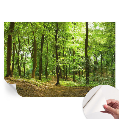 Fototapet autoadeziv pentru dormitor Calea naturală