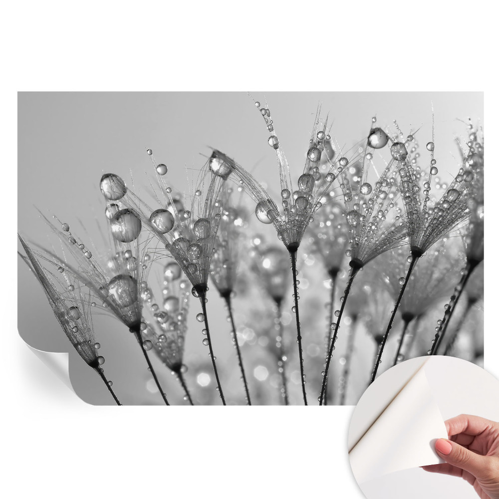 Fototapet autoadeziv Delicatese umede