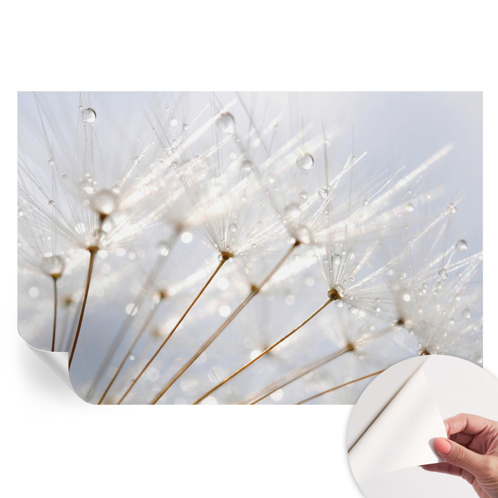 Tapet fotografic autoadeziv Păpădie roz