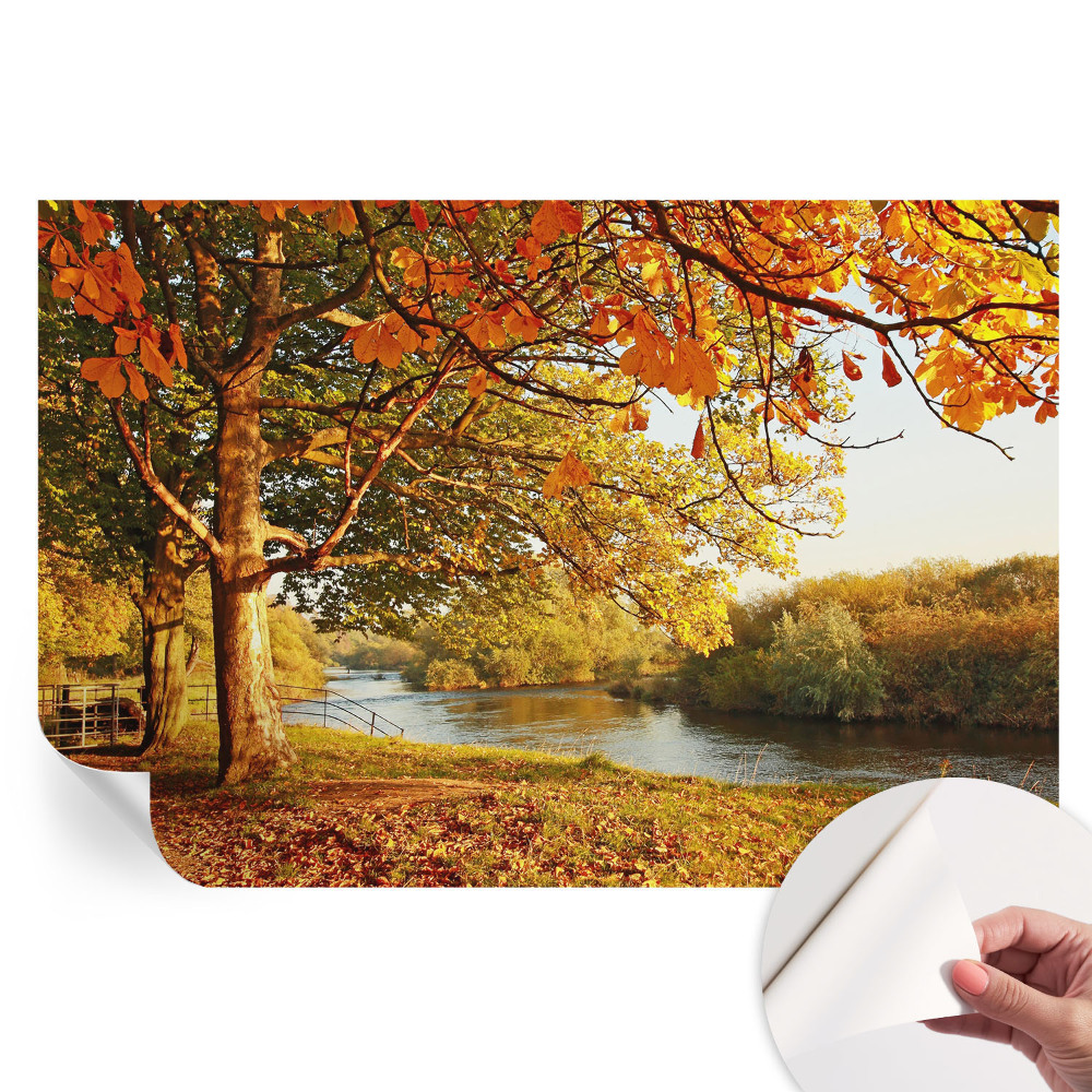 Fototapet modern pentru sufragerie Toamna pe coastă