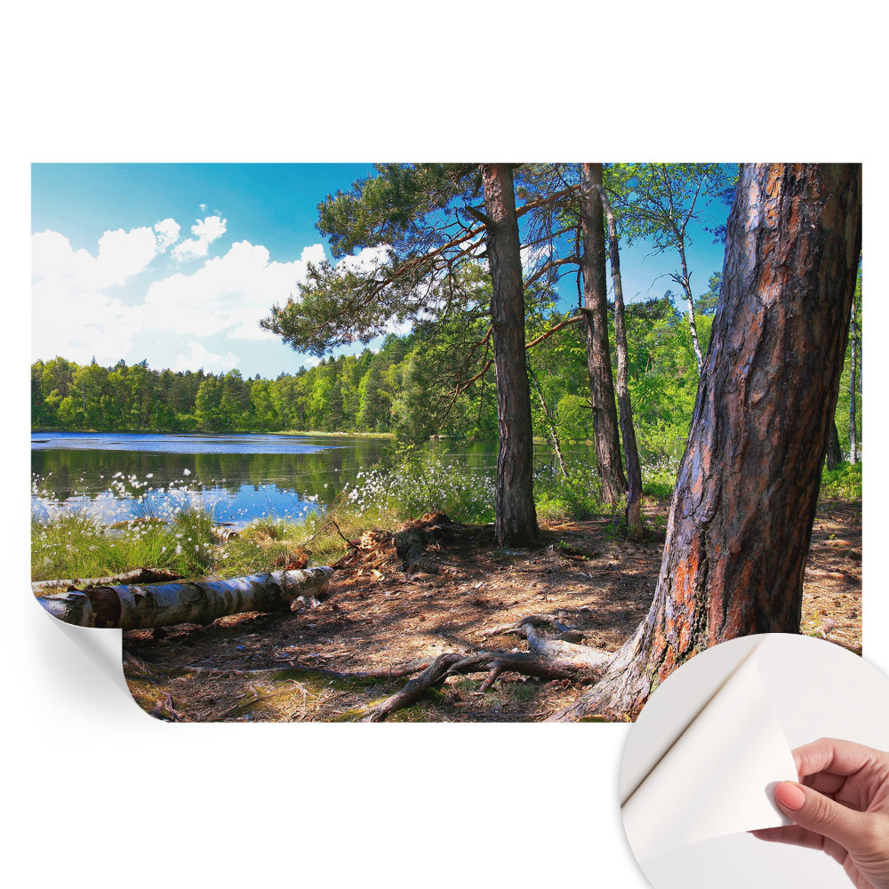 Tapet autoadeziv pentru camera de zi Peisaj forestier