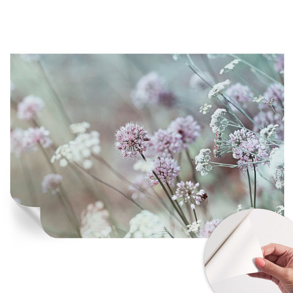 Fototapet modern pentru sufragerie Flori sălbatice