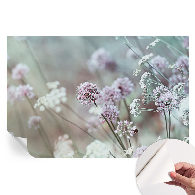 Fototapet modern pentru sufragerie Flori sălbatice