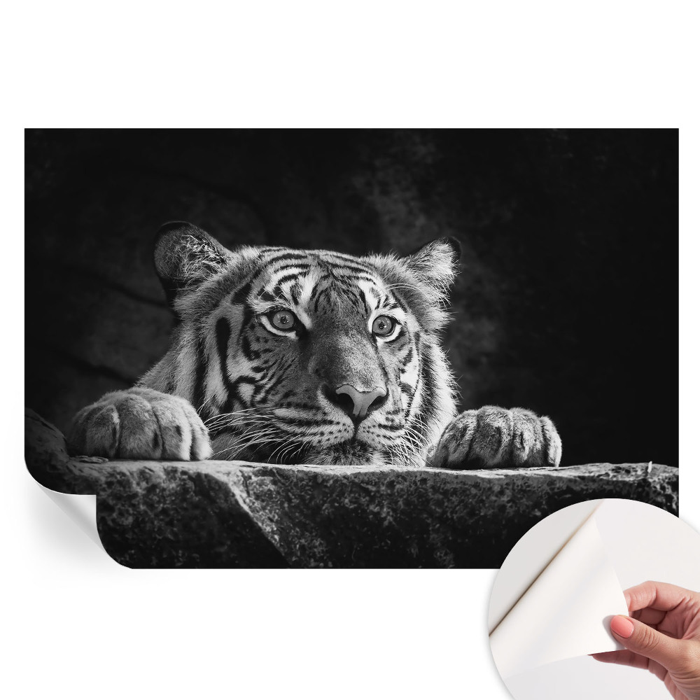 Tapet autoadeziv pentru camera de zi Aspect prădător