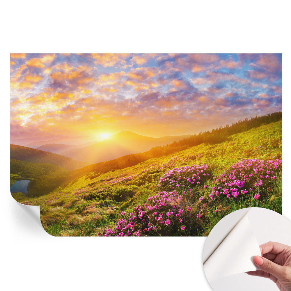 Fototapet modern pentru sufragerie Muntele Vest