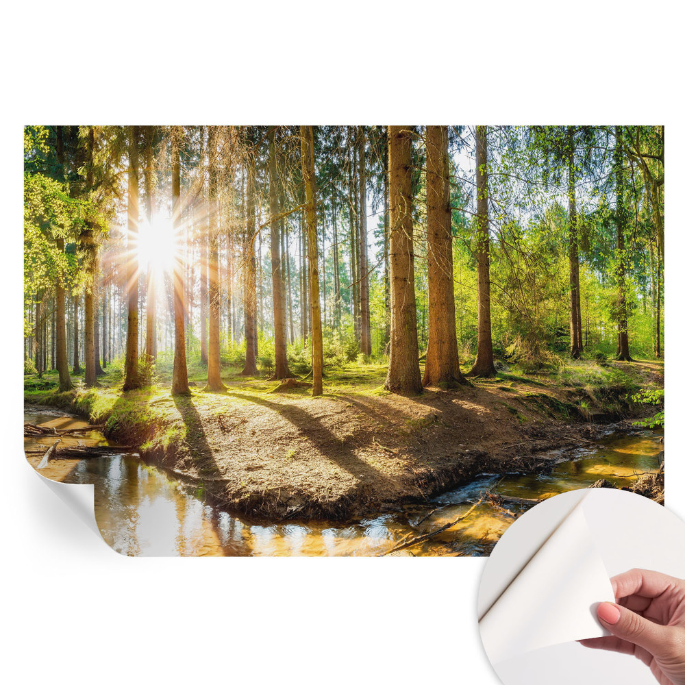 Fototapet autoadeziv pentru dormitor Idilă în pădure