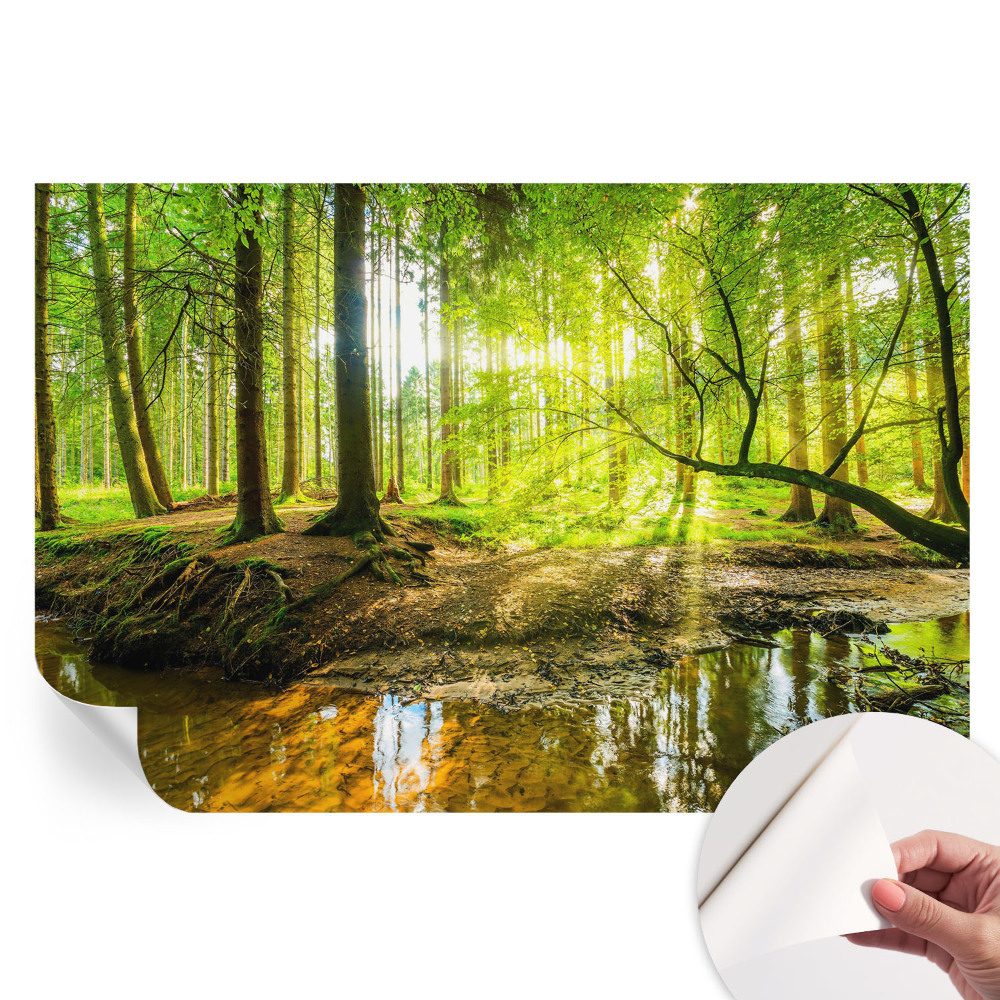 Tapet autoadeziv pentru camera de zi Peisaj verde