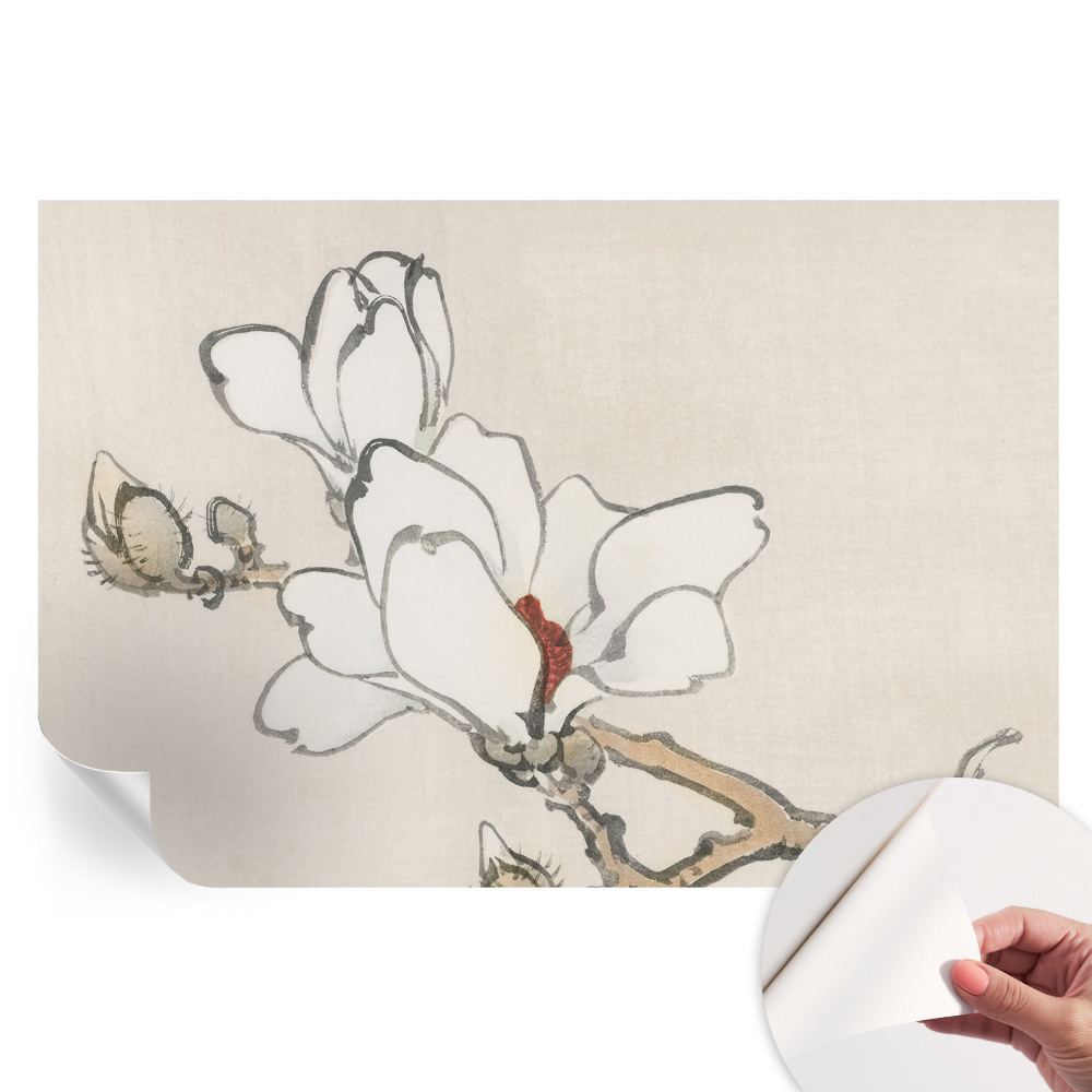 Fototapet autoadeziv Magnolii delicate