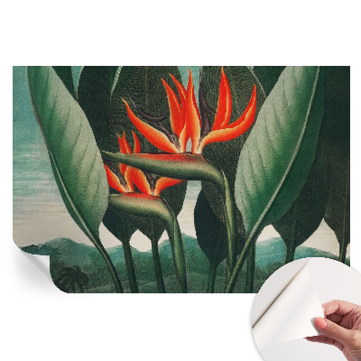 Tapet fotografic autoadeziv Flori exotice