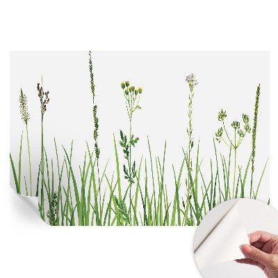 Tapet autoadeziv pentru camera de zi Floră subtilă