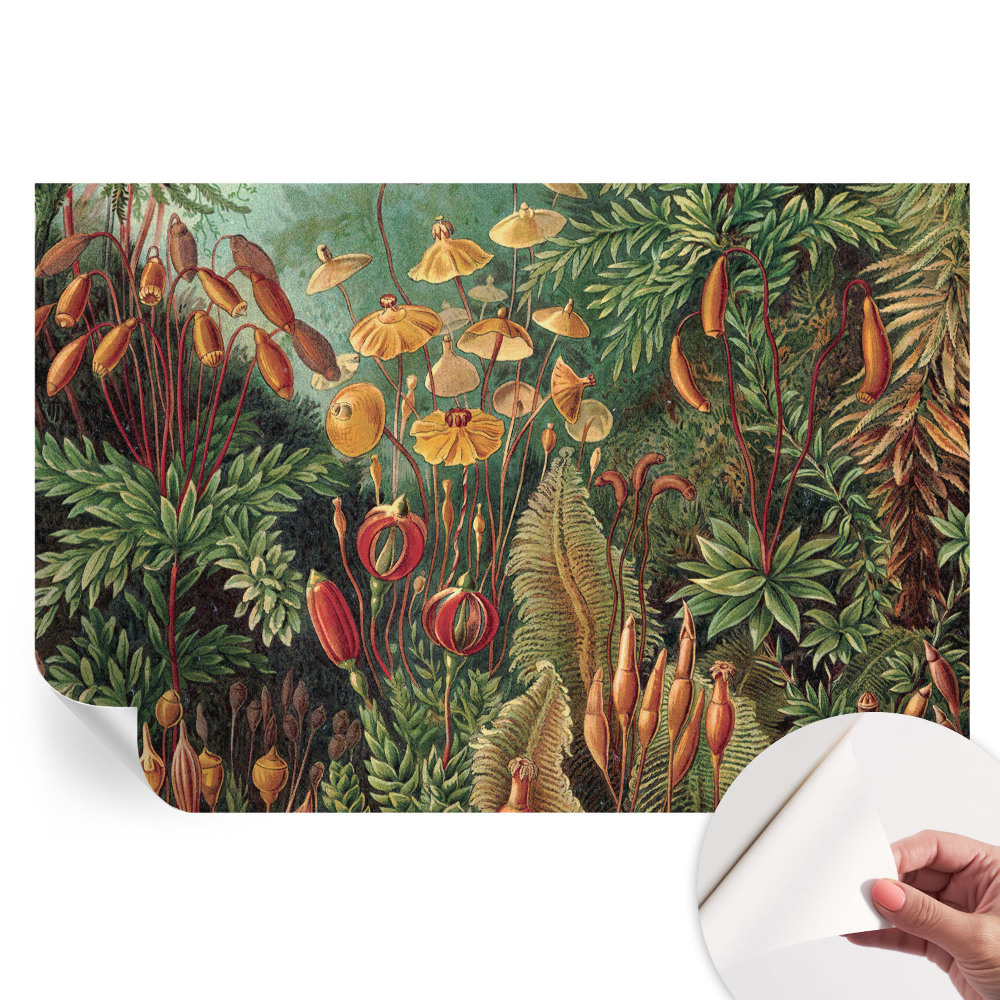 Fototapet autoadeziv Grădină exotică