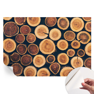 Fototapet autoadeziv pentru dormitor Cercuri de lemn