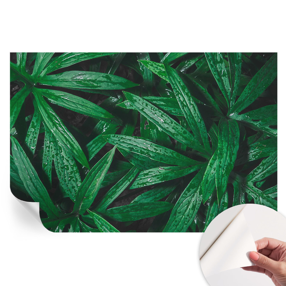 Fototapet autoadeziv Verdeață naturală