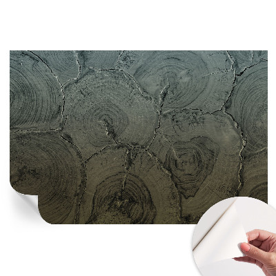 Tapet autoadeziv pentru camera de zi Inele de lemn