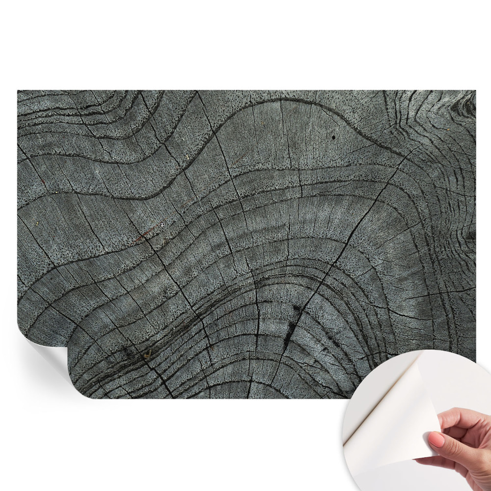 Fototapet modern pentru sufragerie Model de granulație