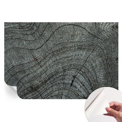 Fototapet modern pentru sufragerie Model de granulație