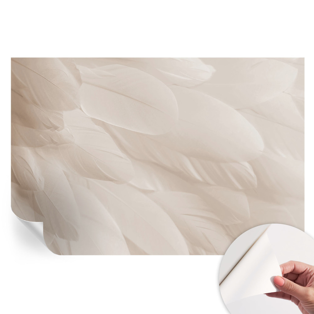 Fototapet autoadeziv pentru dormitor Pene eterice