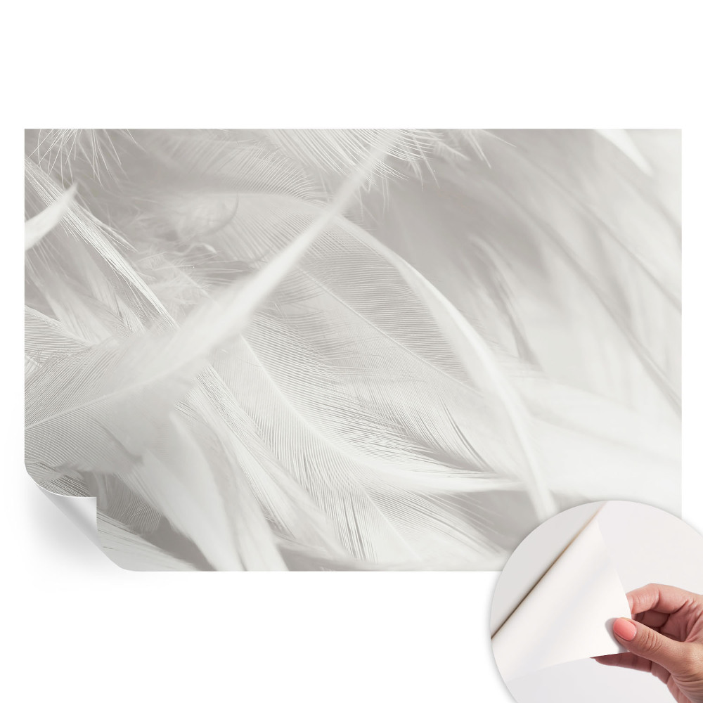 Fototapet modern pentru sufragerie Pene subtile