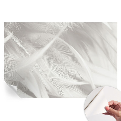 Fototapet modern pentru sufragerie Pene subtile