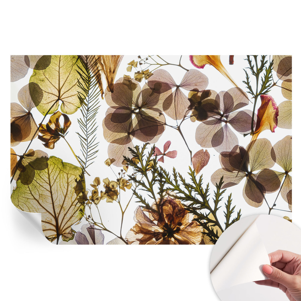 Fototapet autoadeziv pentru dormitor Compoziție naturală