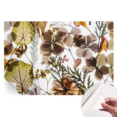 Fototapet autoadeziv pentru dormitor Compoziție naturală