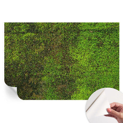 Fototapet autoadeziv pentru dormitor model Covor verde