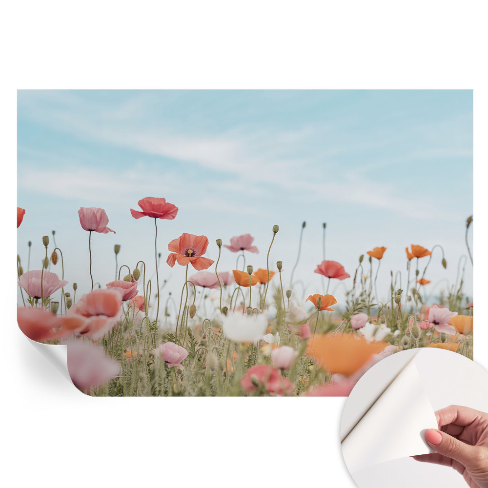 Fototapet modern pentru sufragerie Flori de mac