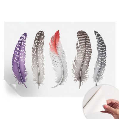 Fototapet autoadeziv Pene cu model