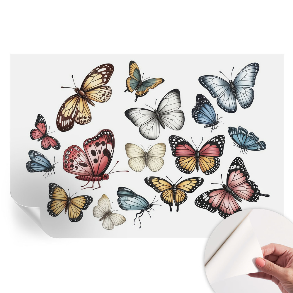 Fototapet modern pentru sufragerie Fluturi de paradis