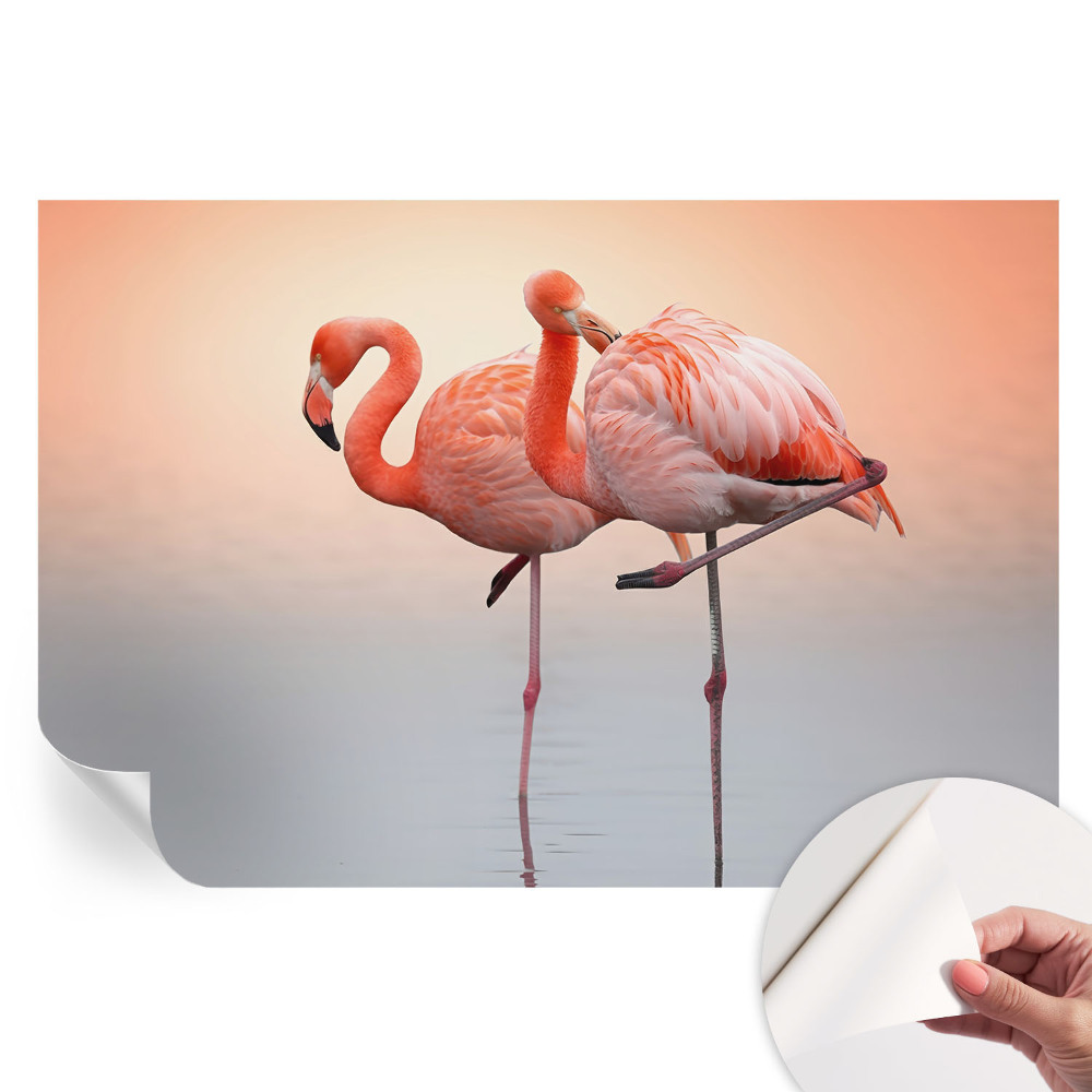 Fototapet modern pentru sufragerie Flamingo delicați