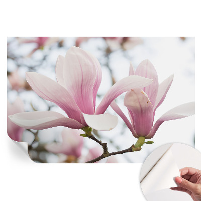 Fototapet autoadeziv pentru dormitor Flori de magnolie