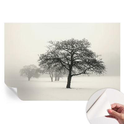Tapet fotografic autoadeziv Copaci de iarnă